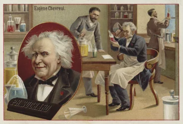 Michel Eugène Chevreul, französischer Chemiker